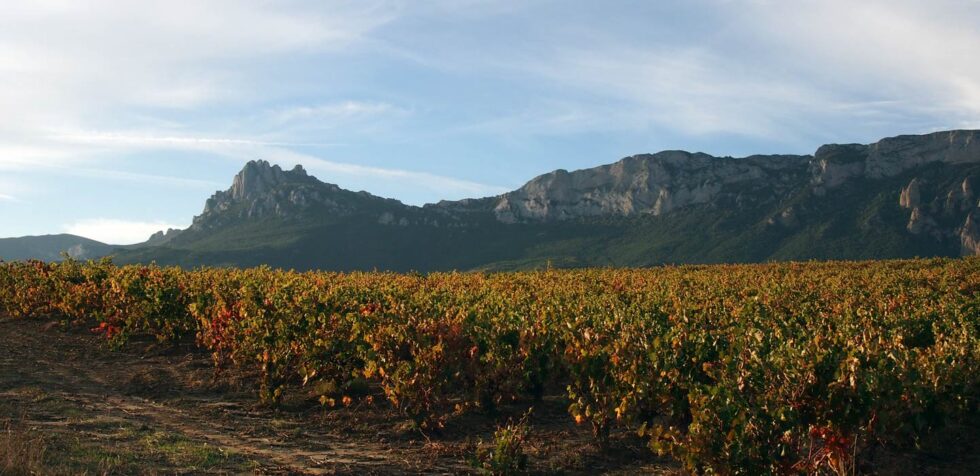 Artadi Iconic Terroirs