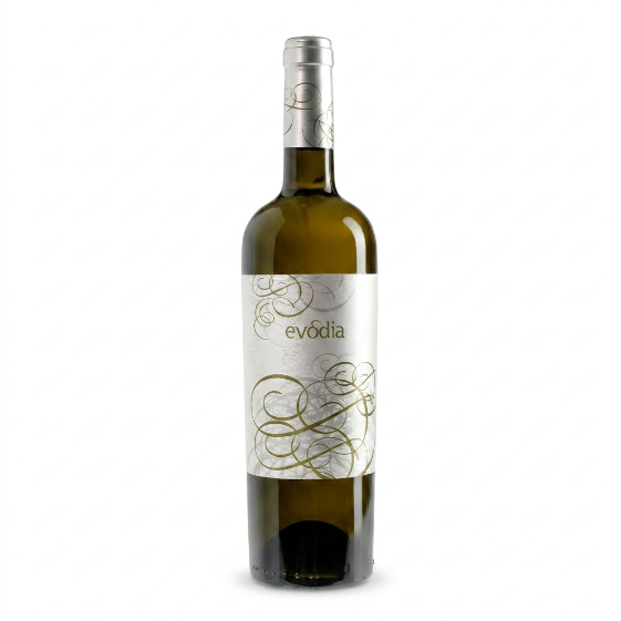 EVODIA BLANCO
