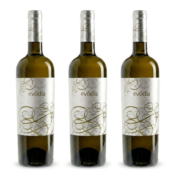 PACK X3 - EVODIA BLANCO