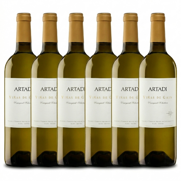 PACK X6 - VIÑAS DE GAIN BLANCO