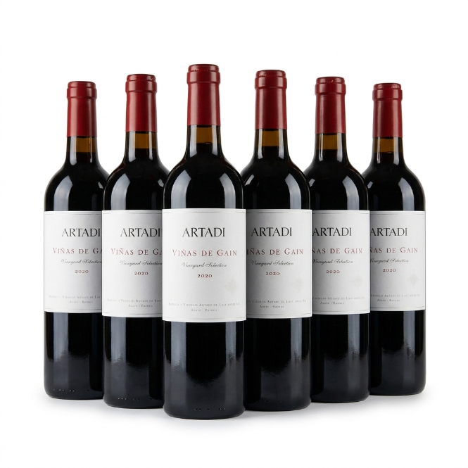PACK X6 - VIÑAS DE GAIN TINTO