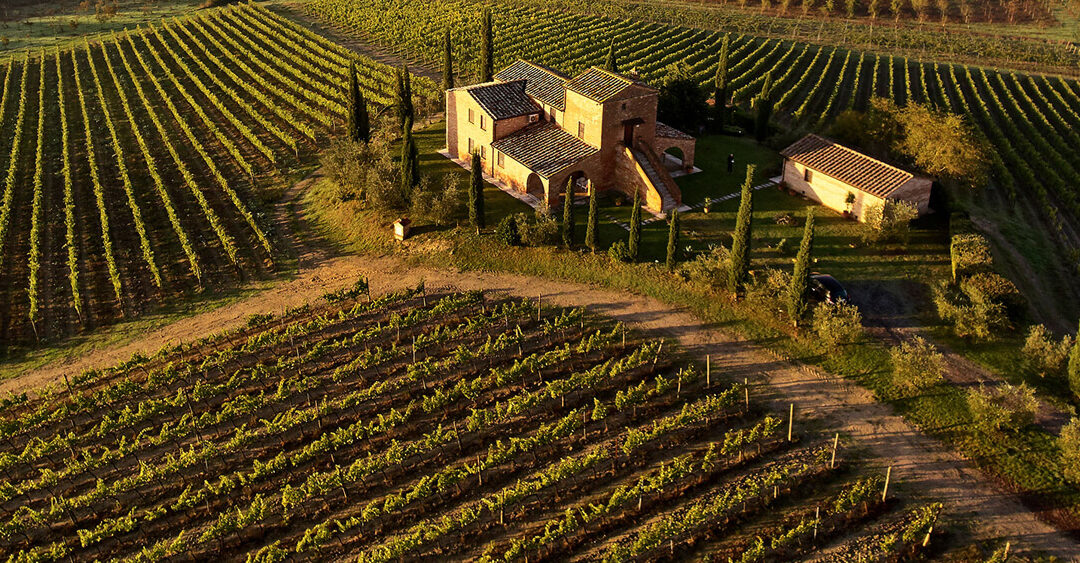 Cantine Dei